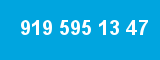 919 595 13 47